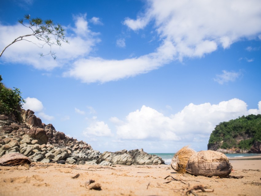 guadeloupe, retrospective, année2016