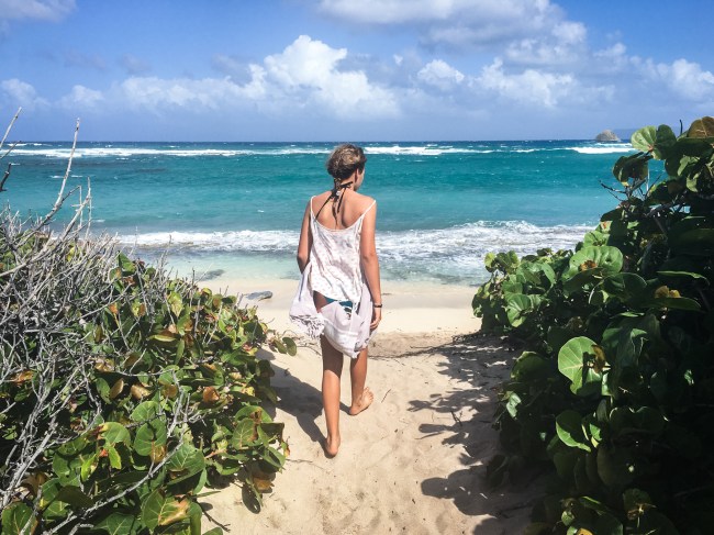 guadeloupe, retrospective, année2016