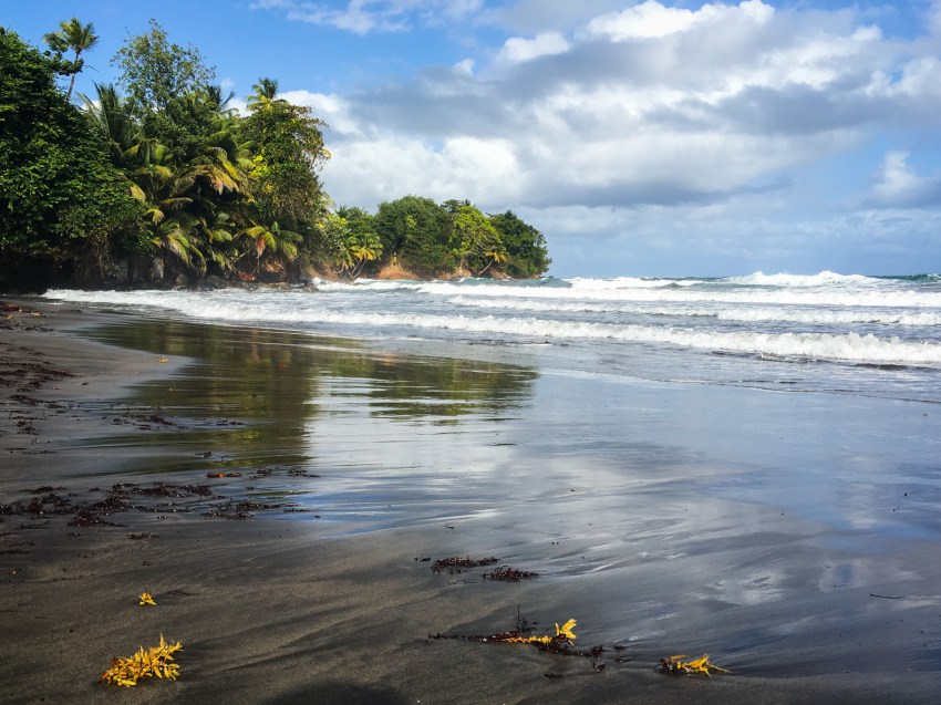guadeloupe, retrospective, année2016