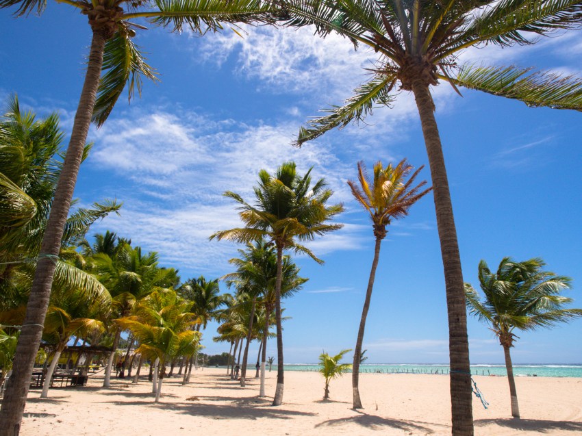 guadeloupe, retrospective, année2016