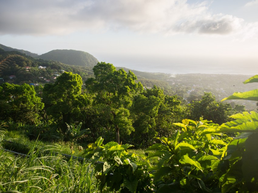 guadeloupe, retrospective, année2016