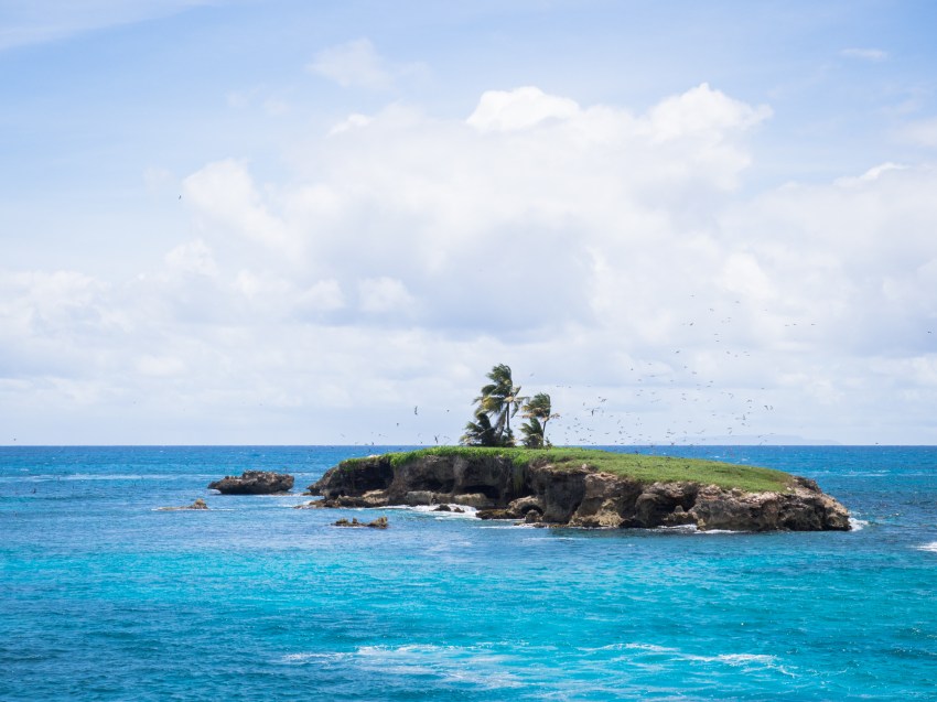 guadeloupe, retrospective, année2016