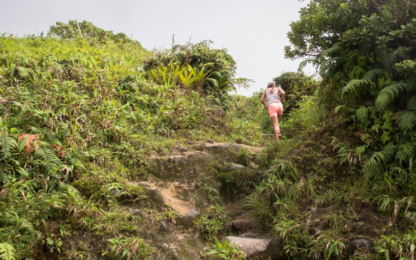 montagne, pelé, volcan, martinique, saint pierre, antilles, caraïbes
