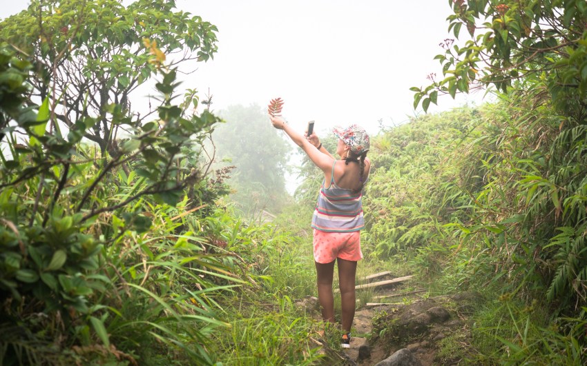 montagne, pelé, volcan, martinique, saint pierre, antilles, caraïbes