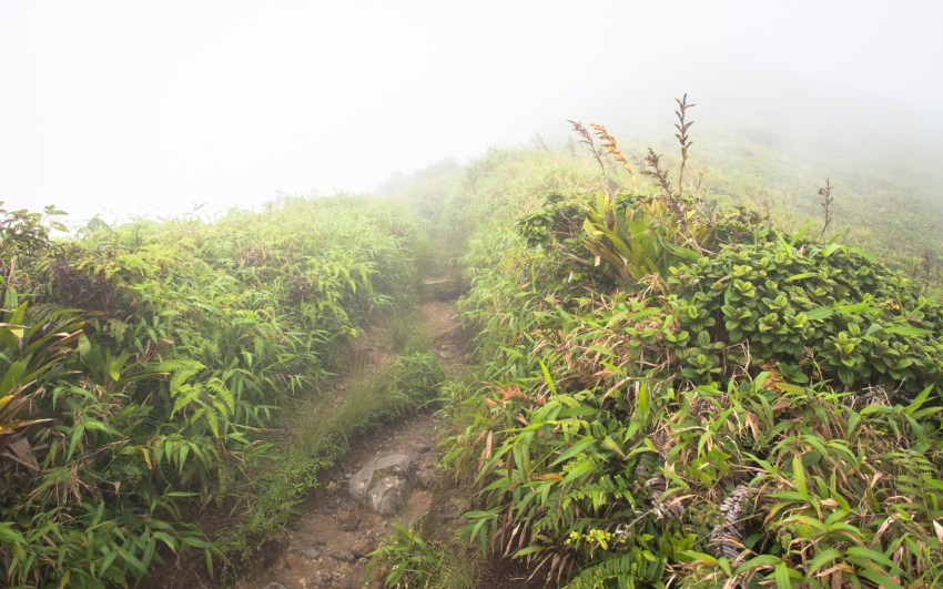 montagne, pelé, volcan, martinique, saint pierre, antilles, caraïbes