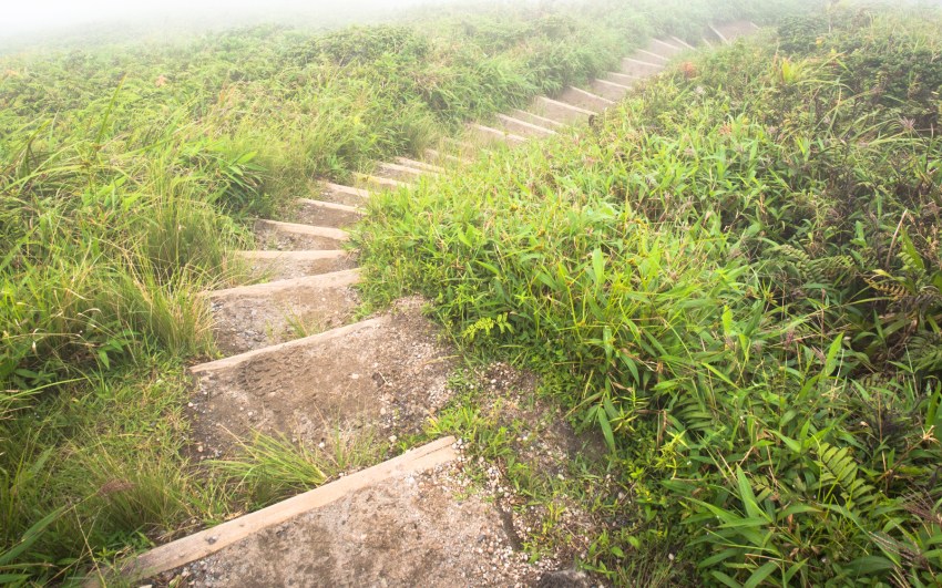 montagne, pelé, volcan, martinique, saint pierre, antilles, caraïbes