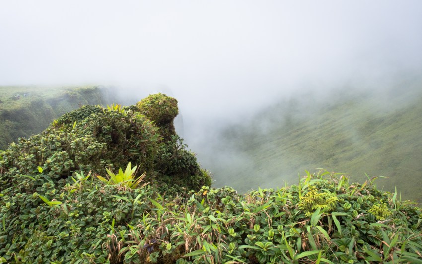 montagne, pelé, volcan, martinique, saint pierre, antilles, caraïbes