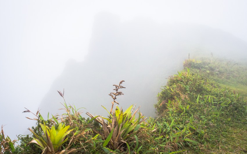 montagne, pelé, volcan, martinique, saint pierre, antilles, caraïbes