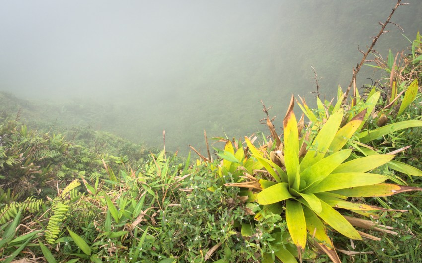 montagne, pelé, volcan, martinique, saint pierre, antilles, caraïbes
