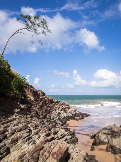 guadeloupe, retrospective, année2016