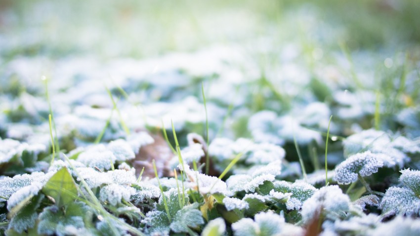 neige, givre, hiver, alsace