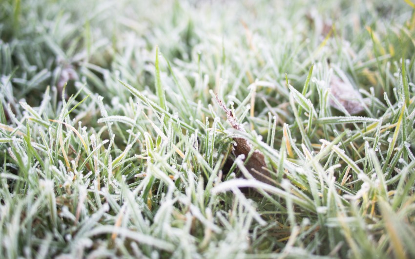 neige, givre, hiver, alsace