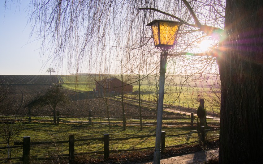 neige, givre, hiver, alsace