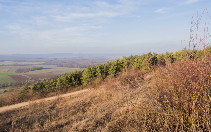 neige, givre, hiver, alsace, bastberg, bouxwiller, imbsheim