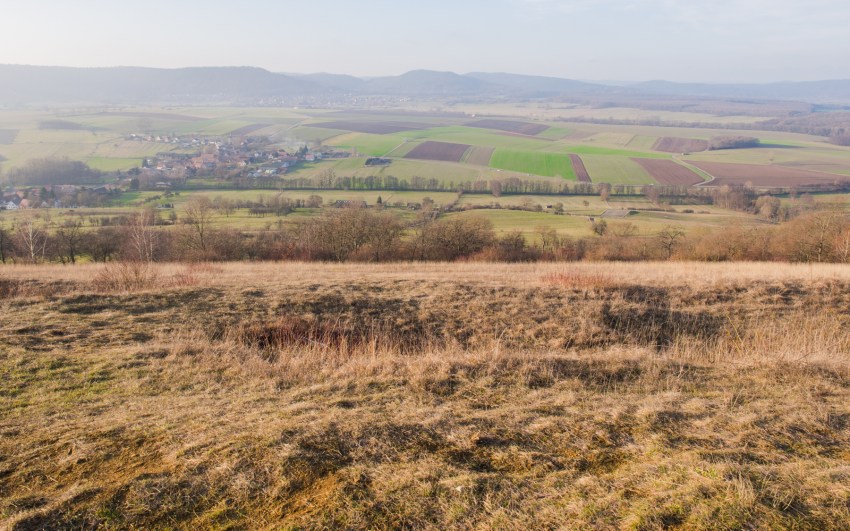 neige, givre, hiver, alsace, bastberg, bouxwiller, imbsheim