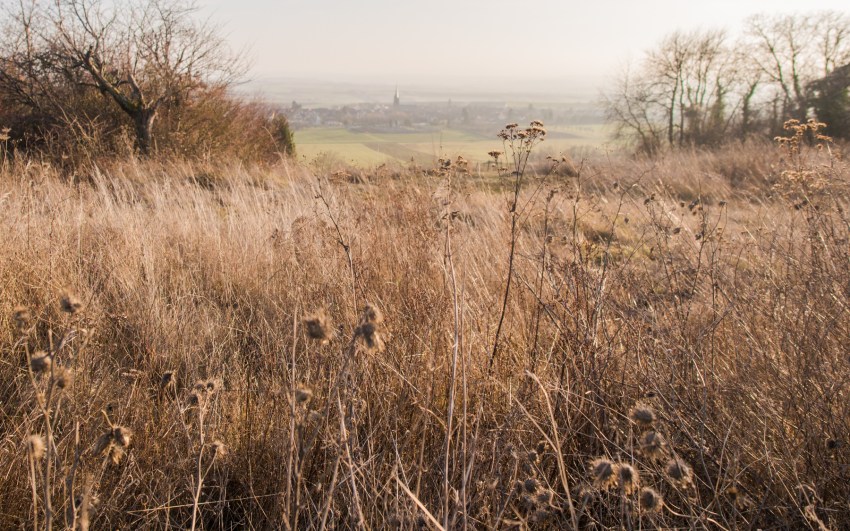neige, givre, hiver, alsace, bastberg, bouxwiller, imbsheim