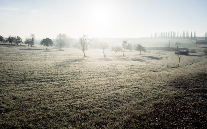neige, givre, hiver, alsace