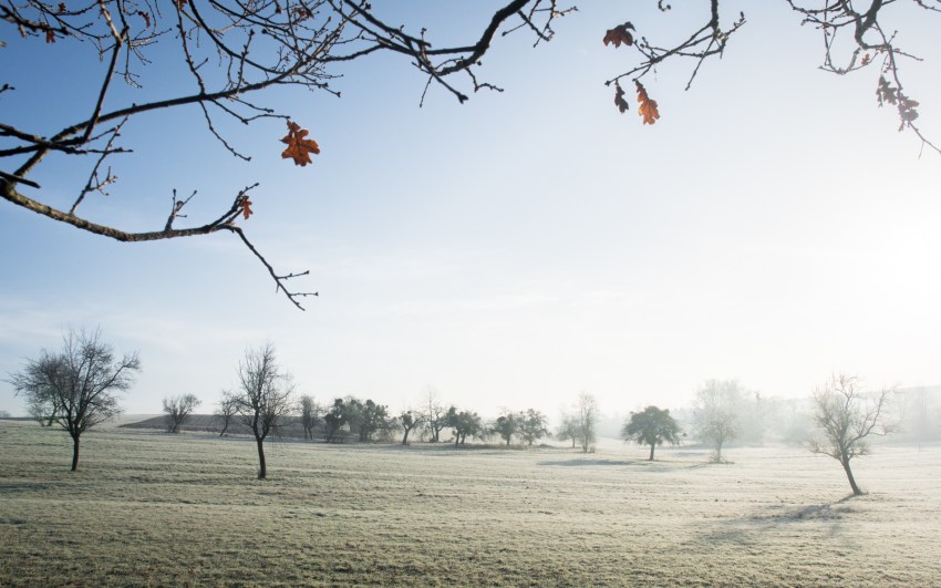 neige, givre, hiver, alsace