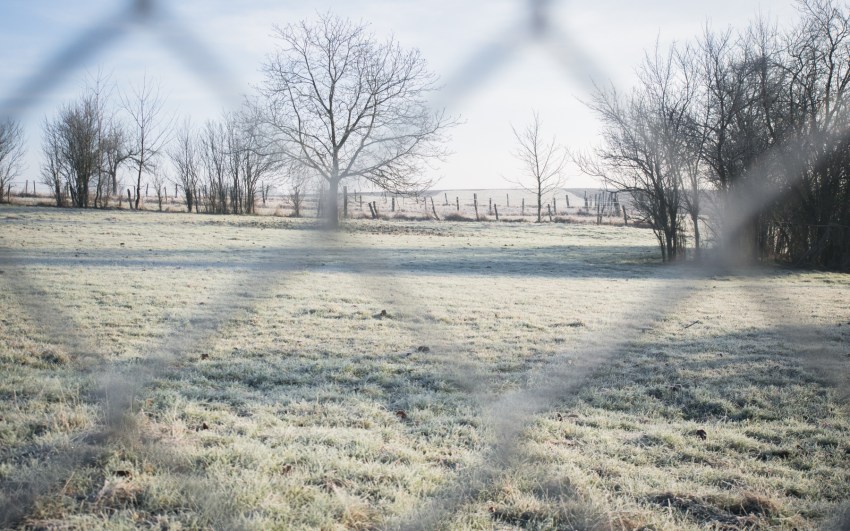 neige, givre, hiver, alsace
