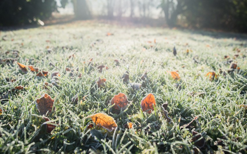 neige, givre, hiver, alsace