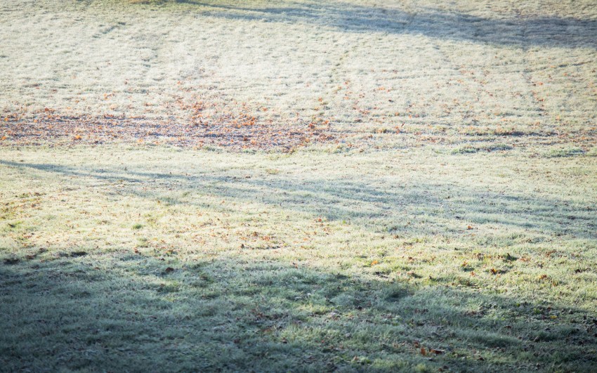 neige, givre, hiver, alsace