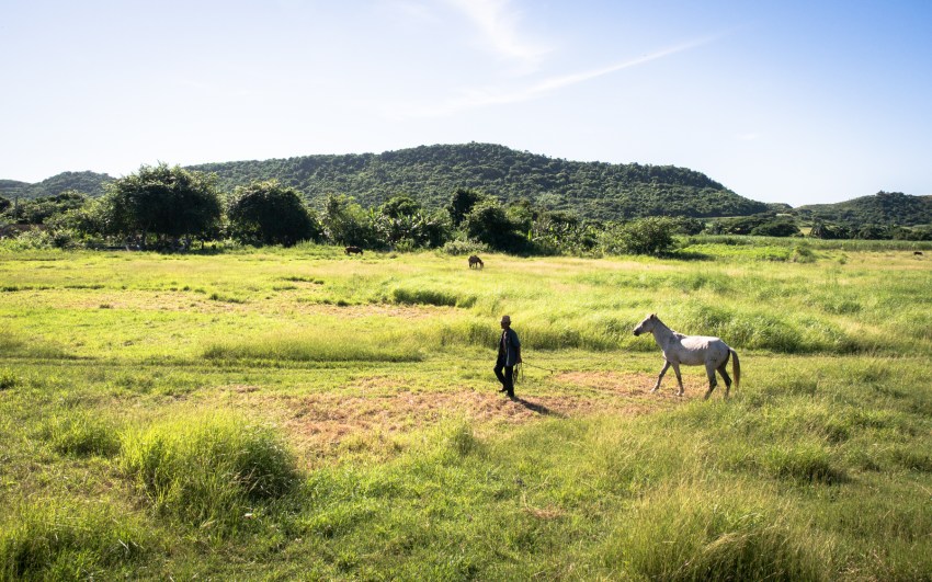 trinidad, cuba, Iznaga, valle de los ingenios