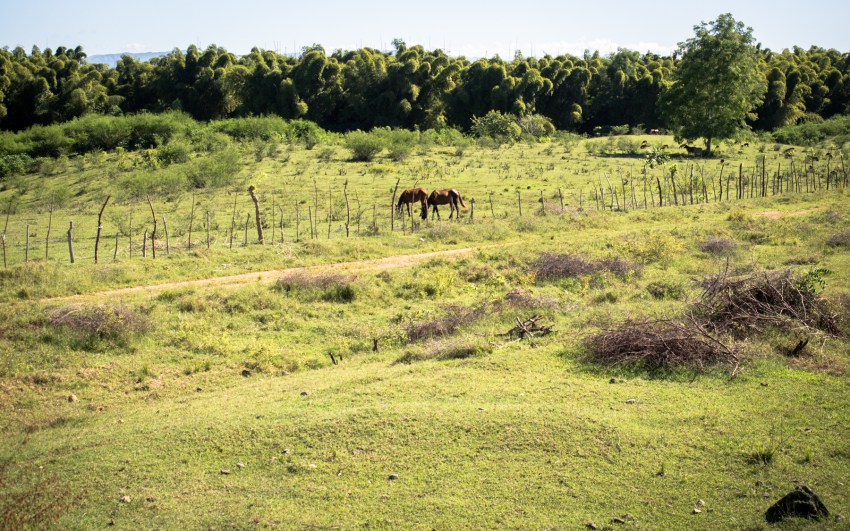 trinidad, cuba, Iznaga, valle de los ingenios