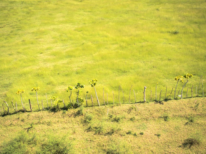 trinidad, cuba, Iznaga, valle de los ingenios