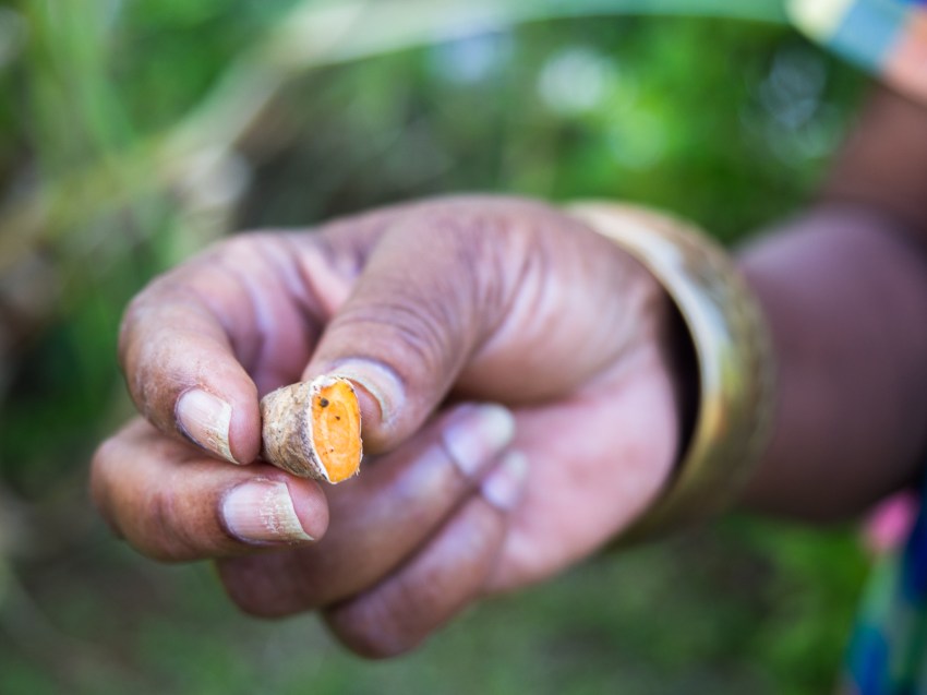 mains, jardin créole, rimed razié, guadeloupe