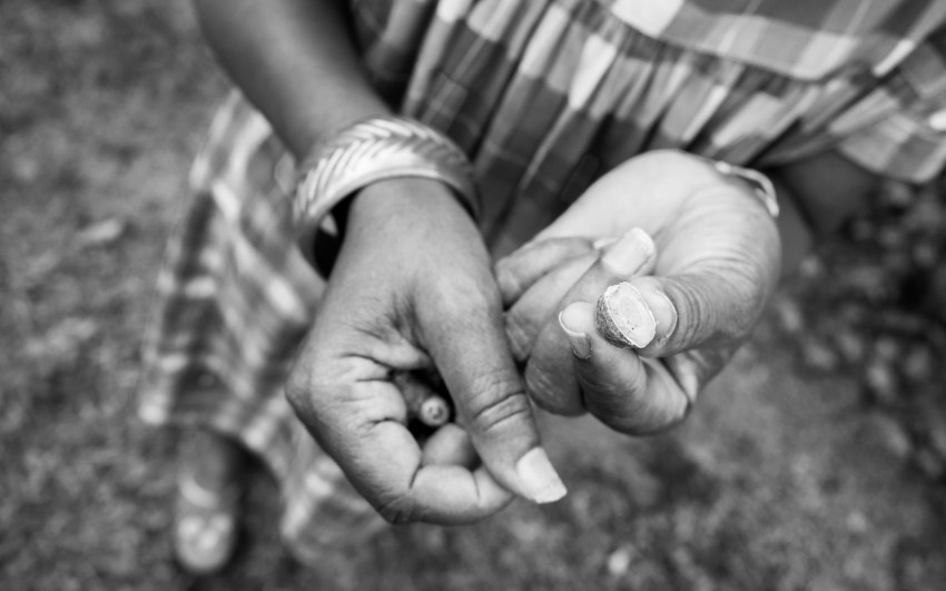 mains, jardin créole, rimed razié, guadeloupe