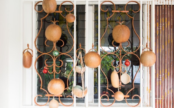 mains, jardin créole, rimed razié, guadeloupe