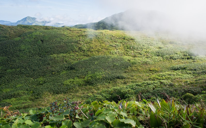 soufrière, volcan, guadeloupe