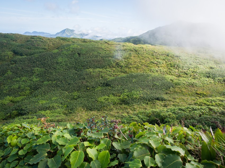 soufrière, volcan, guadeloupe