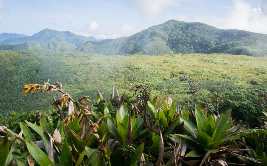 soufrière, volcan, guadeloupe