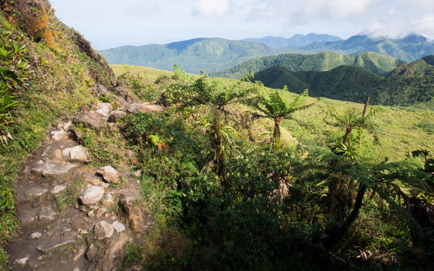 soufrière, volcan, guadeloupe