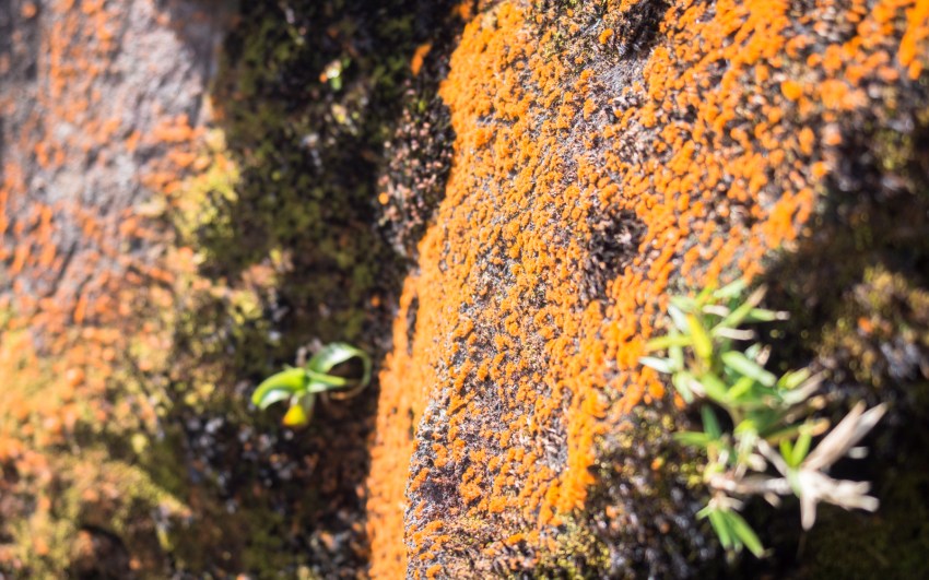 soufrière, volcan, guadeloupe