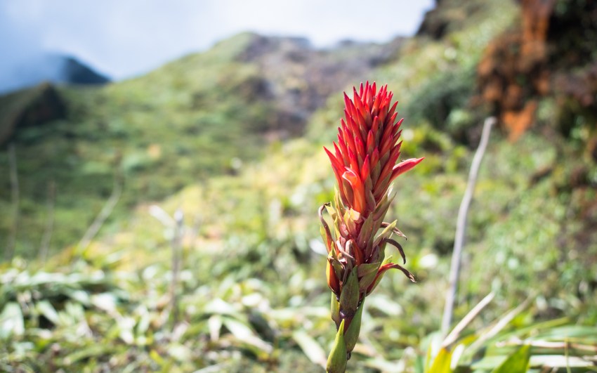 soufrière, volcan, guadeloupe