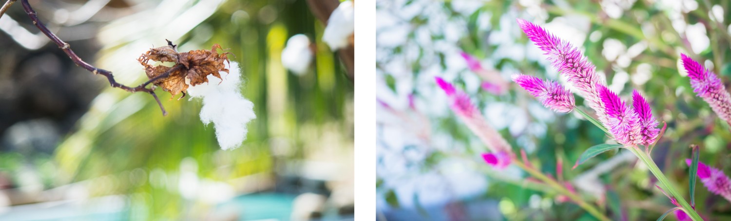 les saintes, guadeloupe, caraïbes