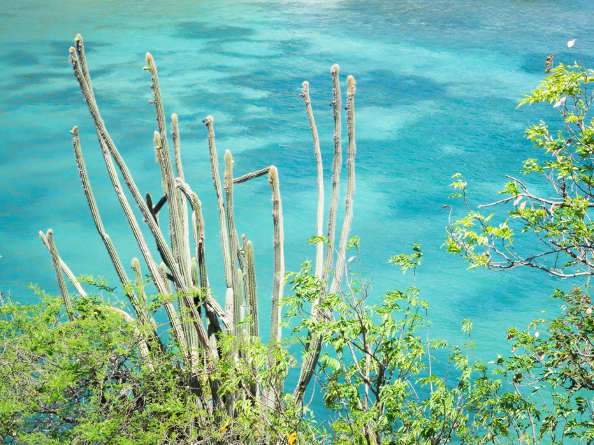 les saintes, guadeloupe, caraïbes