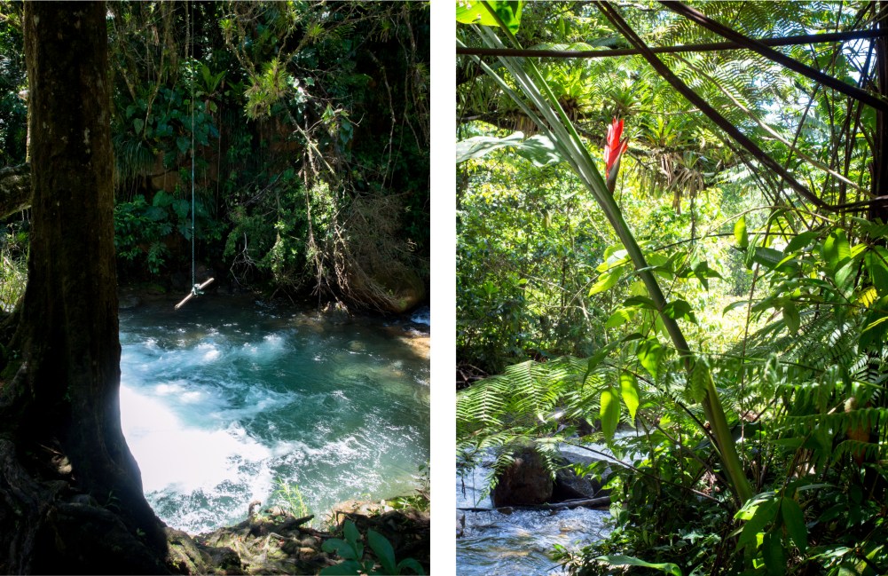guadeloupe, rivière rouge, matouba, saint claude
