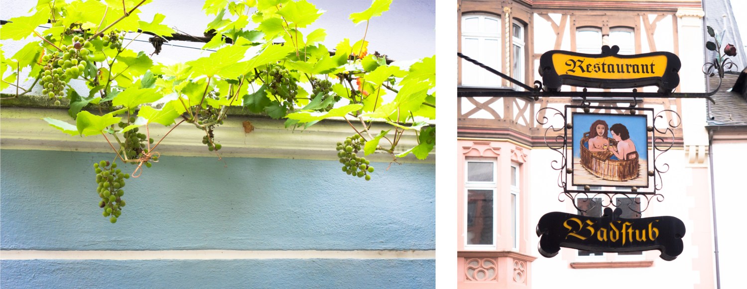 boucle de la moselle, allemagne, Trittenheim, Piesport, Minheim