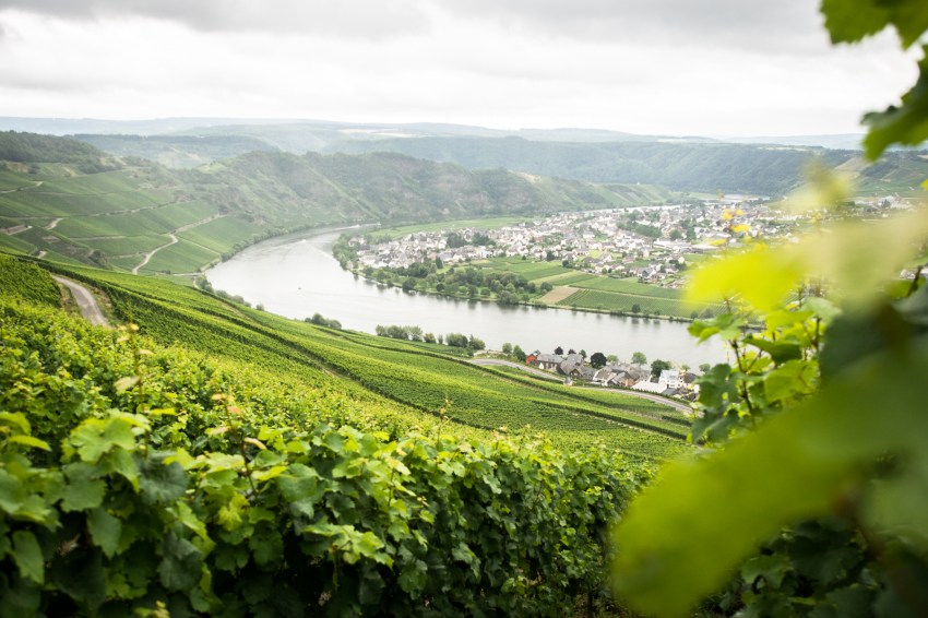 boucle de la moselle, allemagne