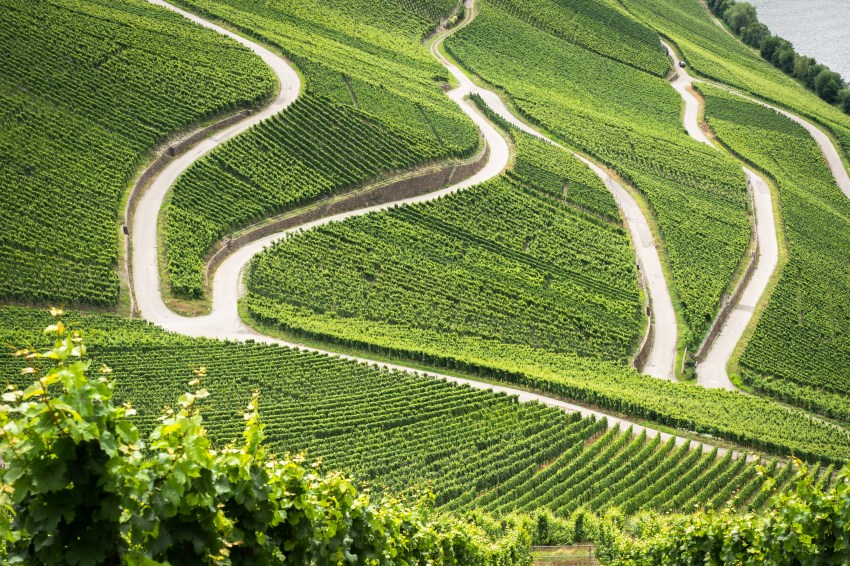 boucle de la moselle, allemagne