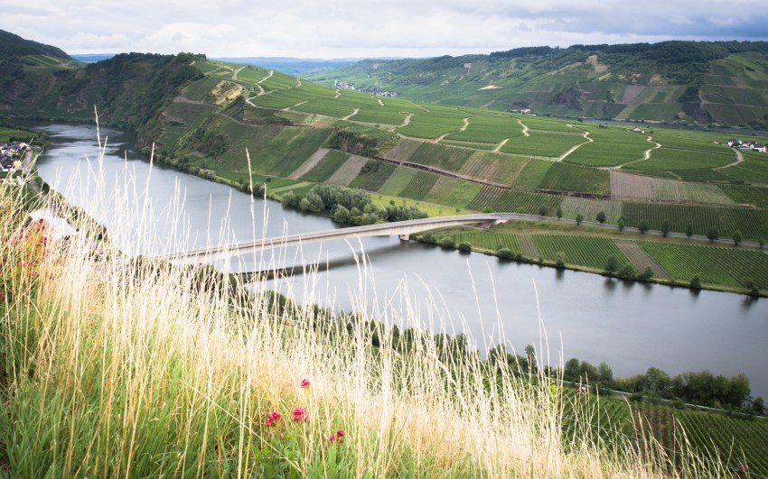 boucle de la moselle, allemagne, Trittenheim, Piesport, Minheim