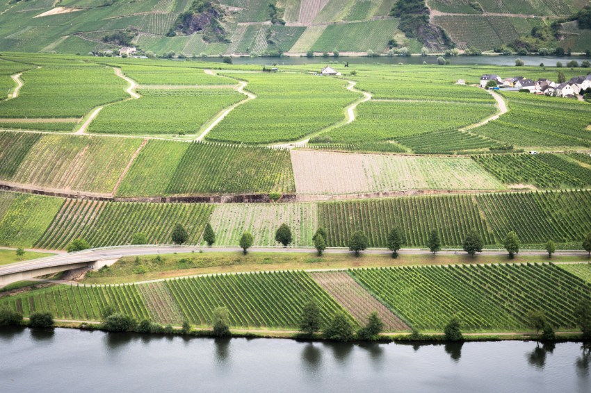 boucle de la moselle, allemagne, Trittenheim, Piesport, Minheim