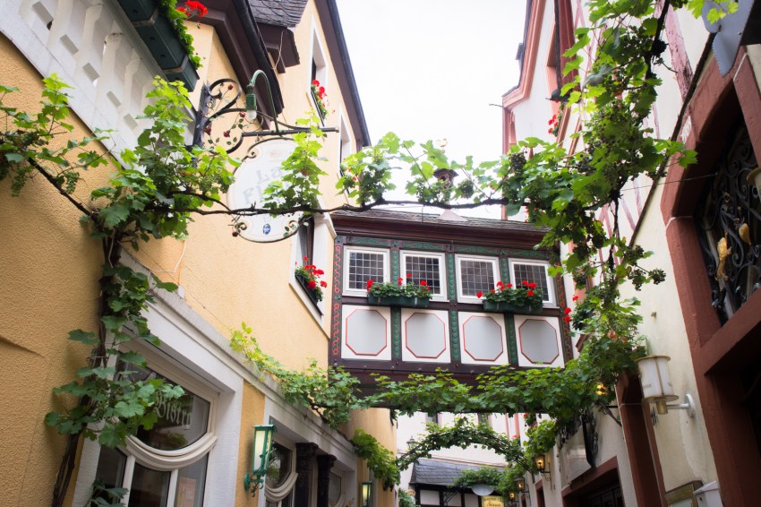 boucle de la moselle, allemagne, Trittenheim, Piesport, Minheim, Bernkastel Kues