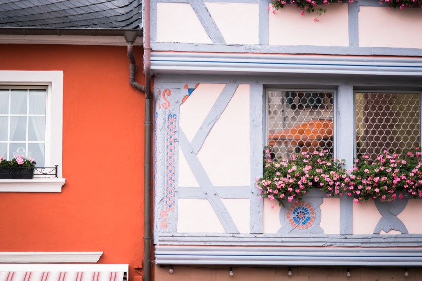 boucle de la moselle, allemagne, Trittenheim, Piesport, Minheim, Bernkastel Kues