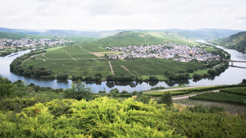 boucle de la moselle, allemagne, Trittenheim, Piesport, Minheim, Bernkastel Kues
