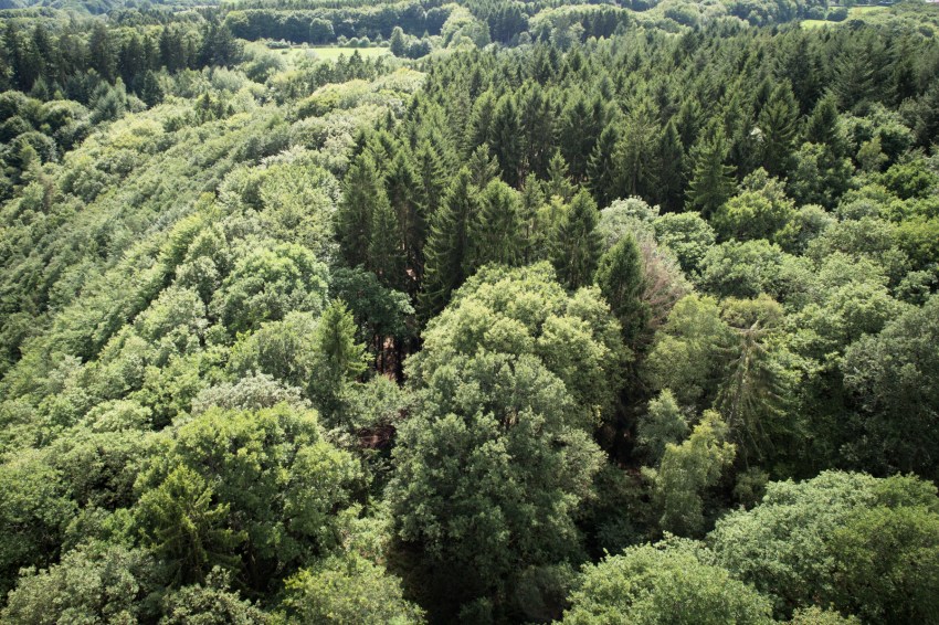 boucle de la sarre, allemagne, saarschleife, mettlach, cloef