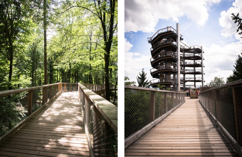 boucle de la sarre, allemagne, saarschleife, mettlach, cloef